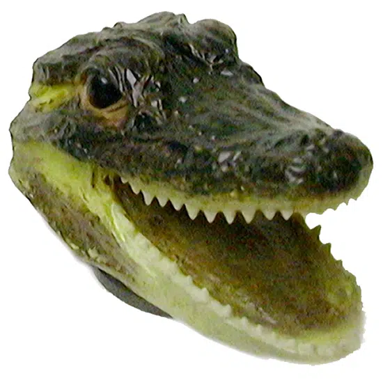 Alligator Purse- Magnet